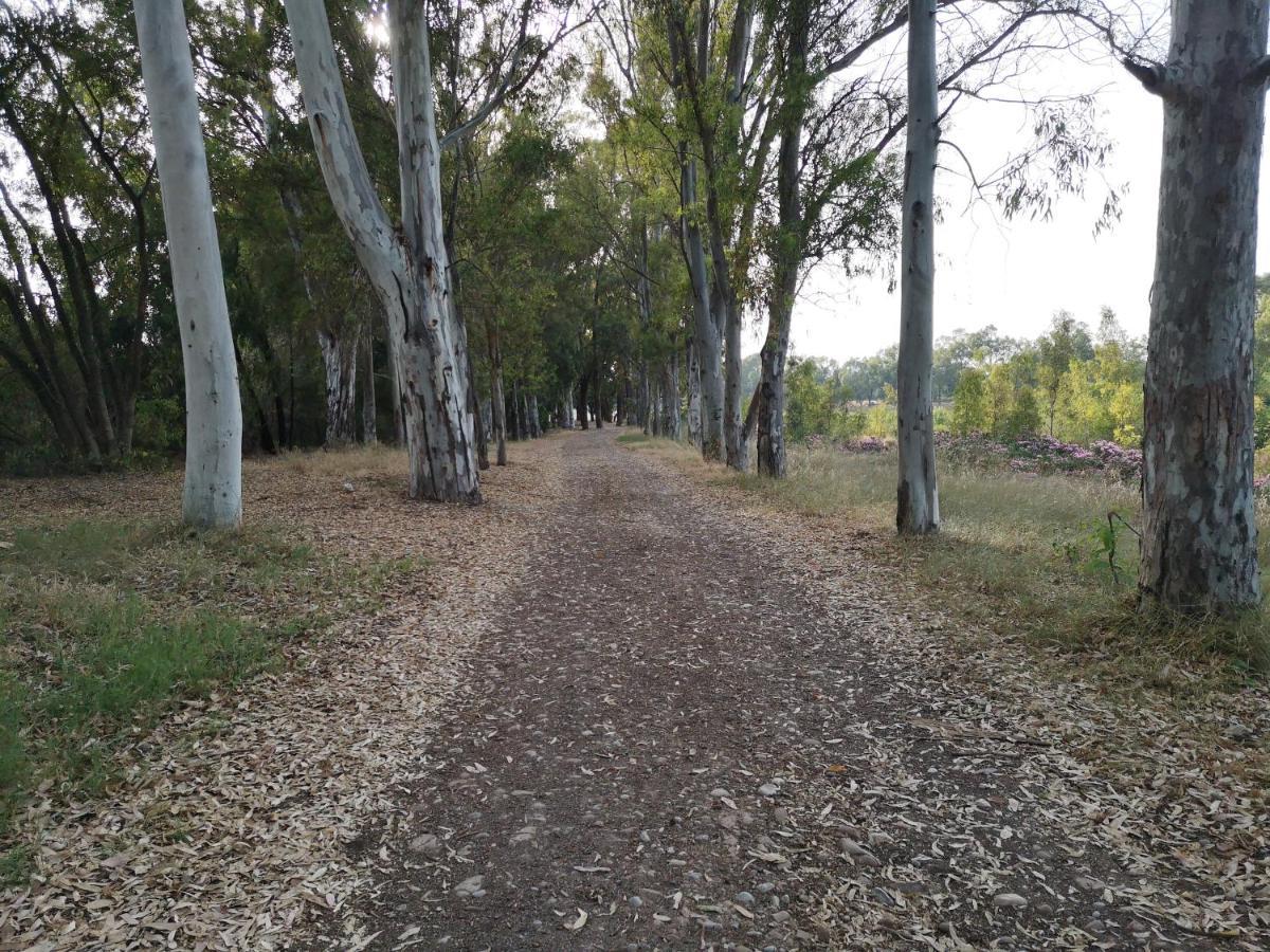 1Ere Soleil Levant Sagunto Εξωτερικό φωτογραφία